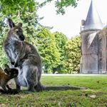 Zoo and Botanical Garden of Branféré