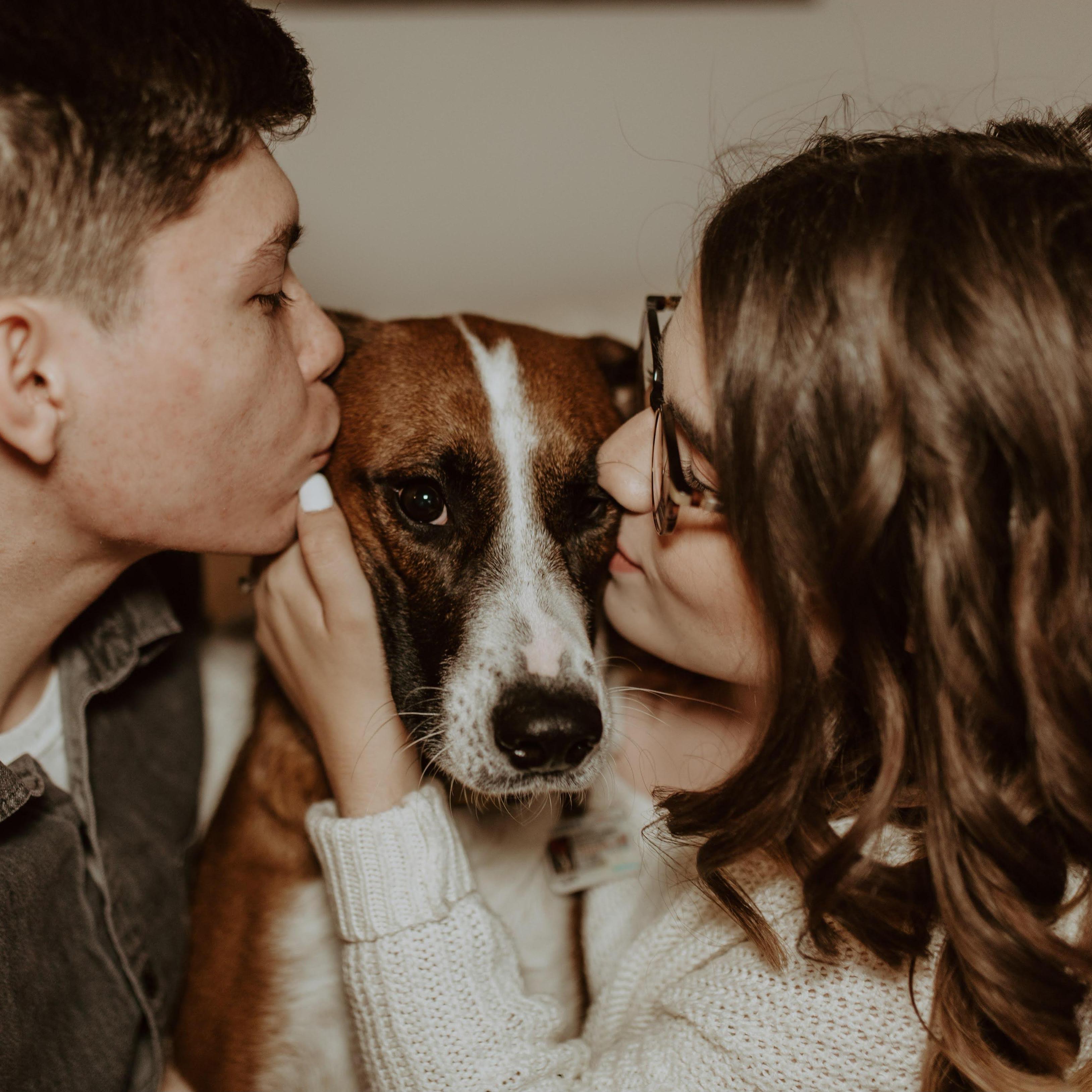 March 2021. The Couple takes their engagement photos! One of the two settings of these images was in their own home!