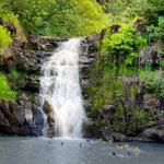 Waimea Falls