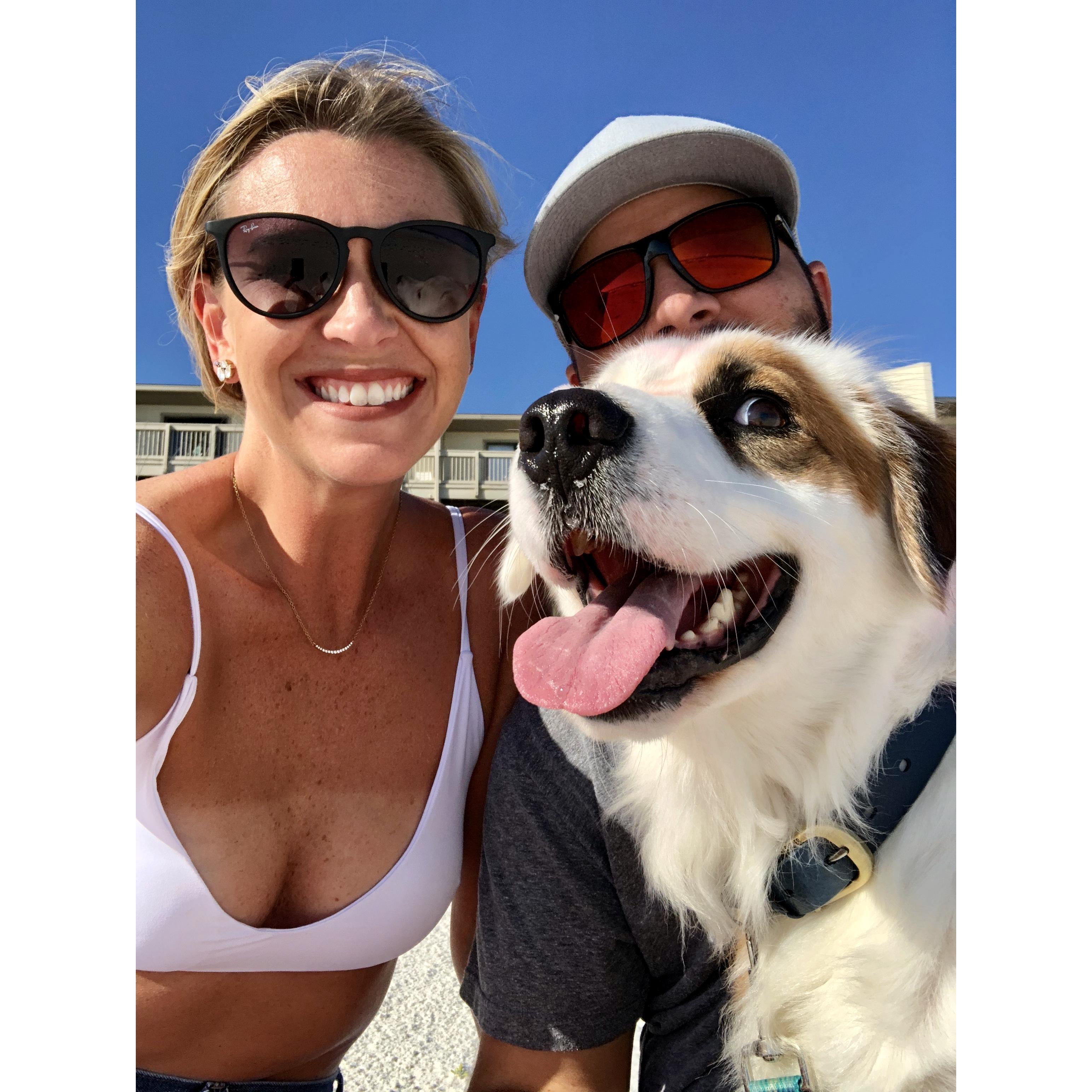 Panama City- April 2020: Champ's first beach trip!