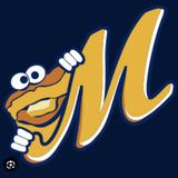 Montgomery Biscuits Game