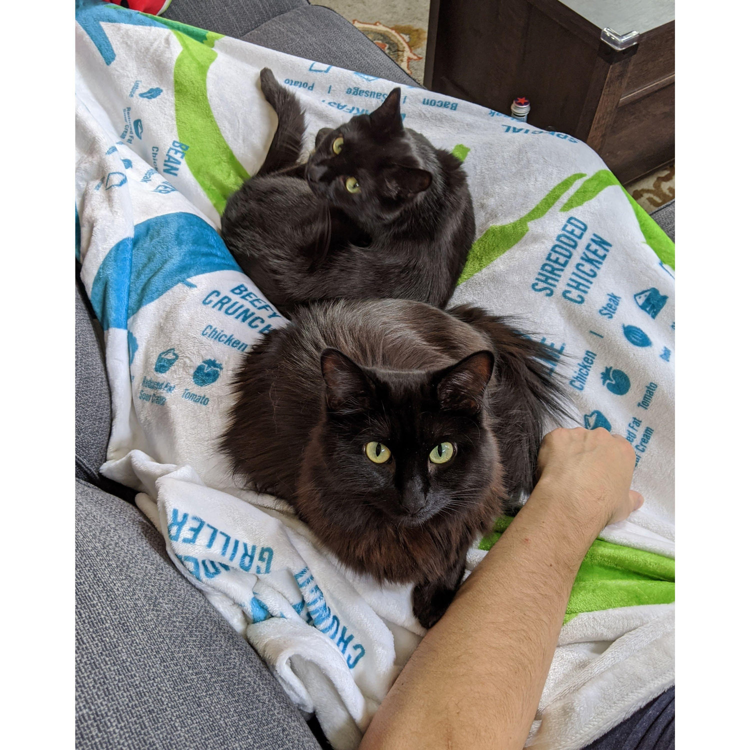 why get taco bell when you can have a purrito