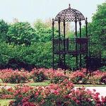 Park of Roses