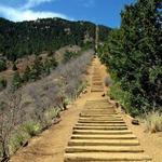 The Incline