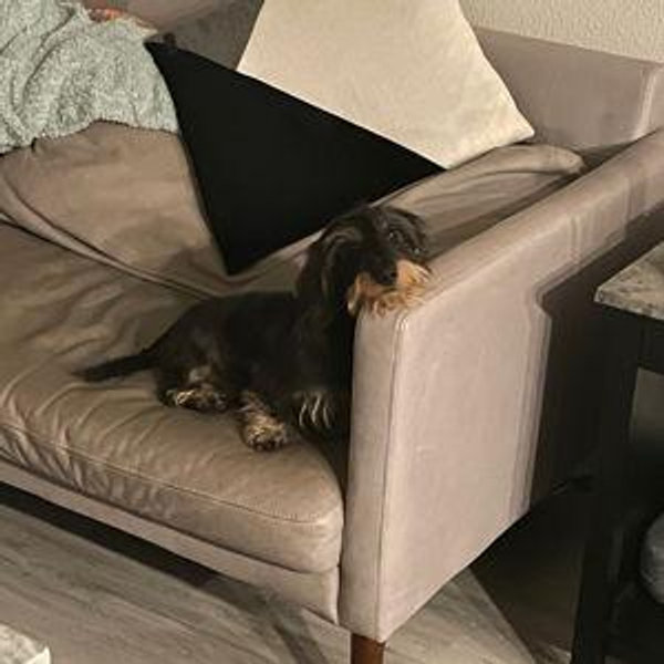 New Sofa Fund