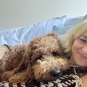 Pet Hotel For Our Wedding