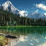 Rocky Mountain National Park