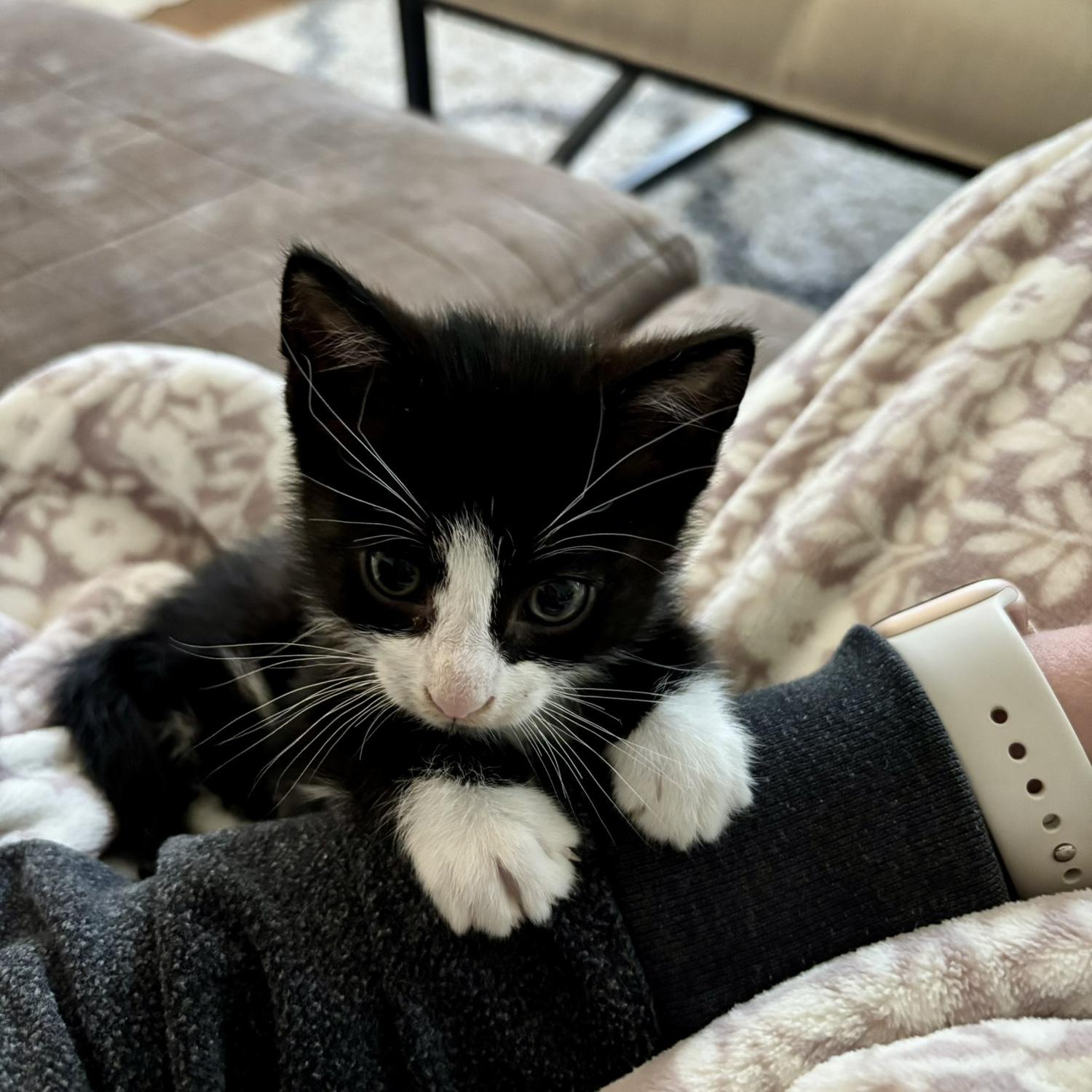 Welcome Home Wilson! ❤️
