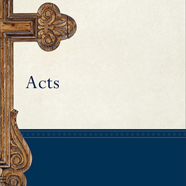 Acts (Baker Exegetical Commentary on the New Testament)