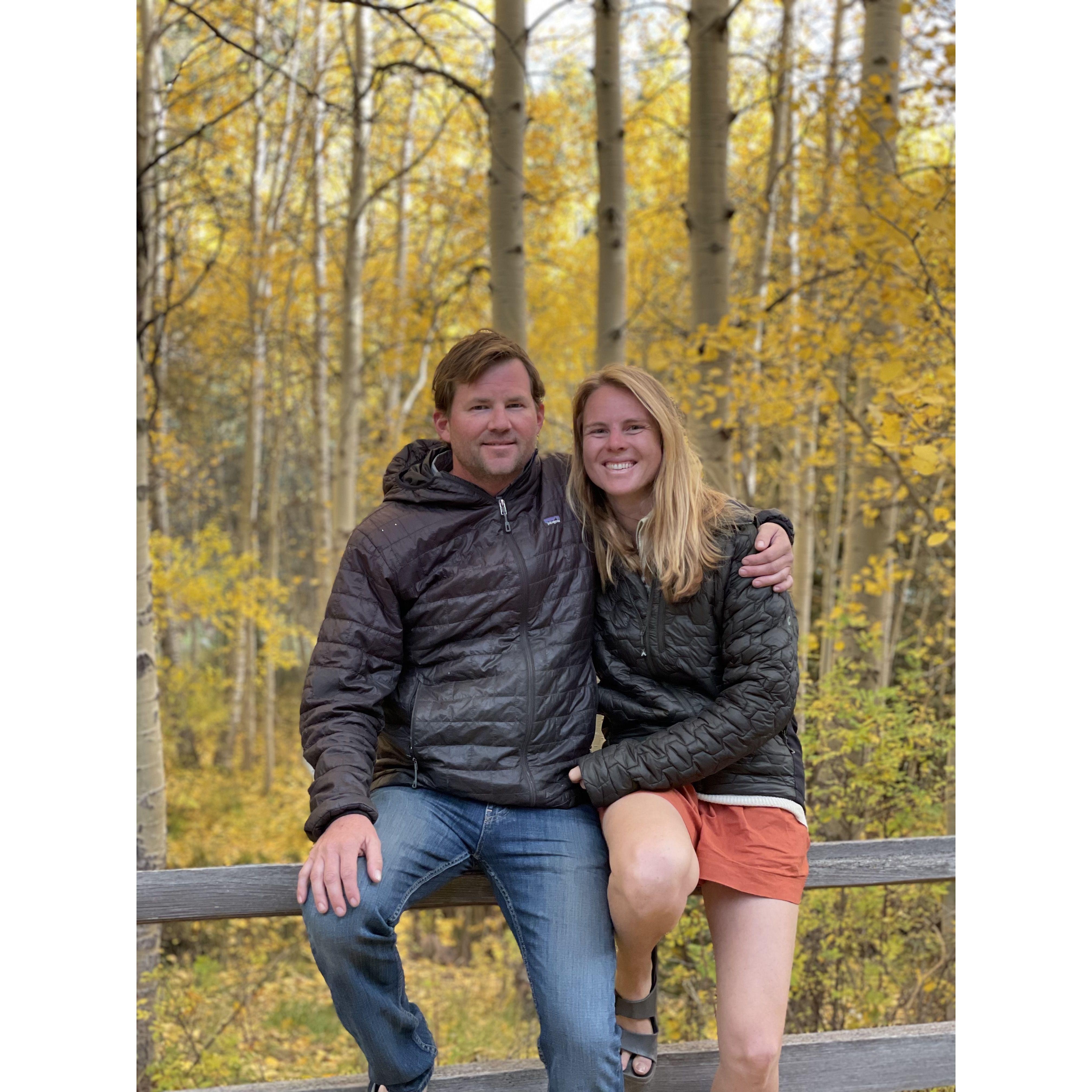 Aspens in their prime