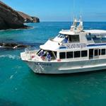 Island Packers Cruises