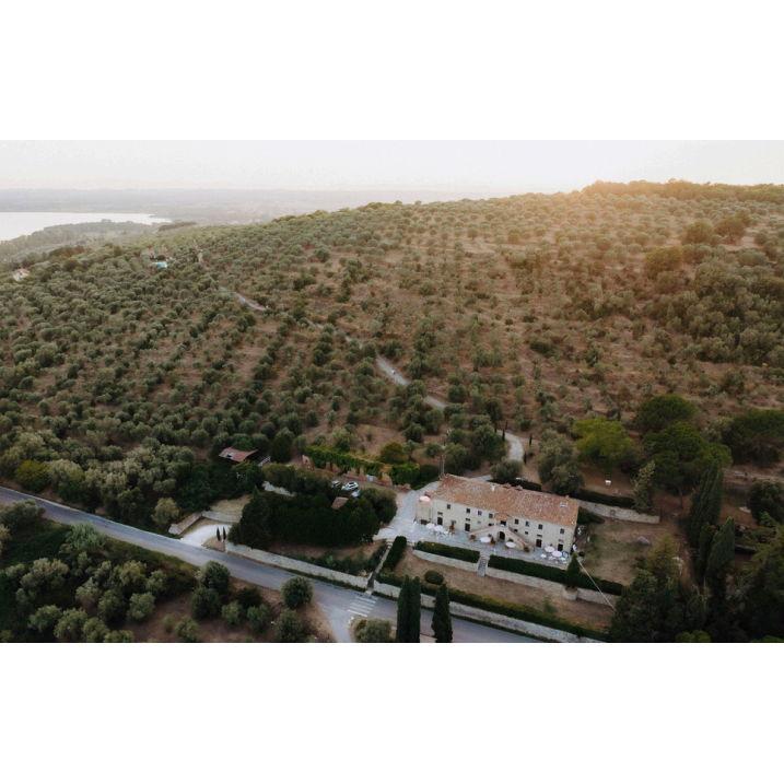 Ariel view of the estate!