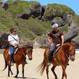 Tropical Trail Rides