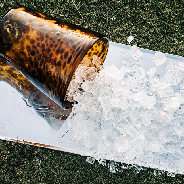 Tortoise Ice Bucket without Handles