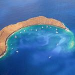Malolo Molokini Snorkeling Tours