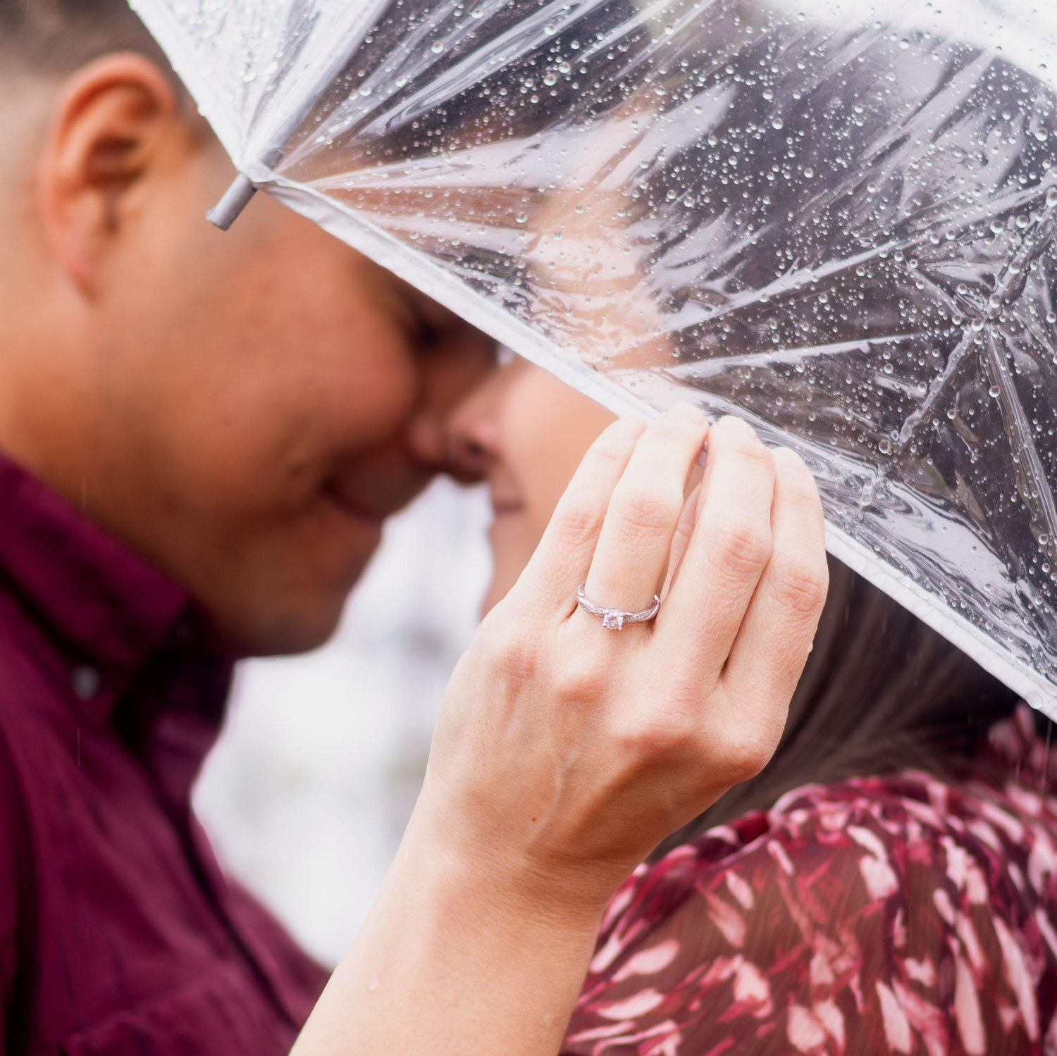 Forecast: 100% chance of 'Yes'.
