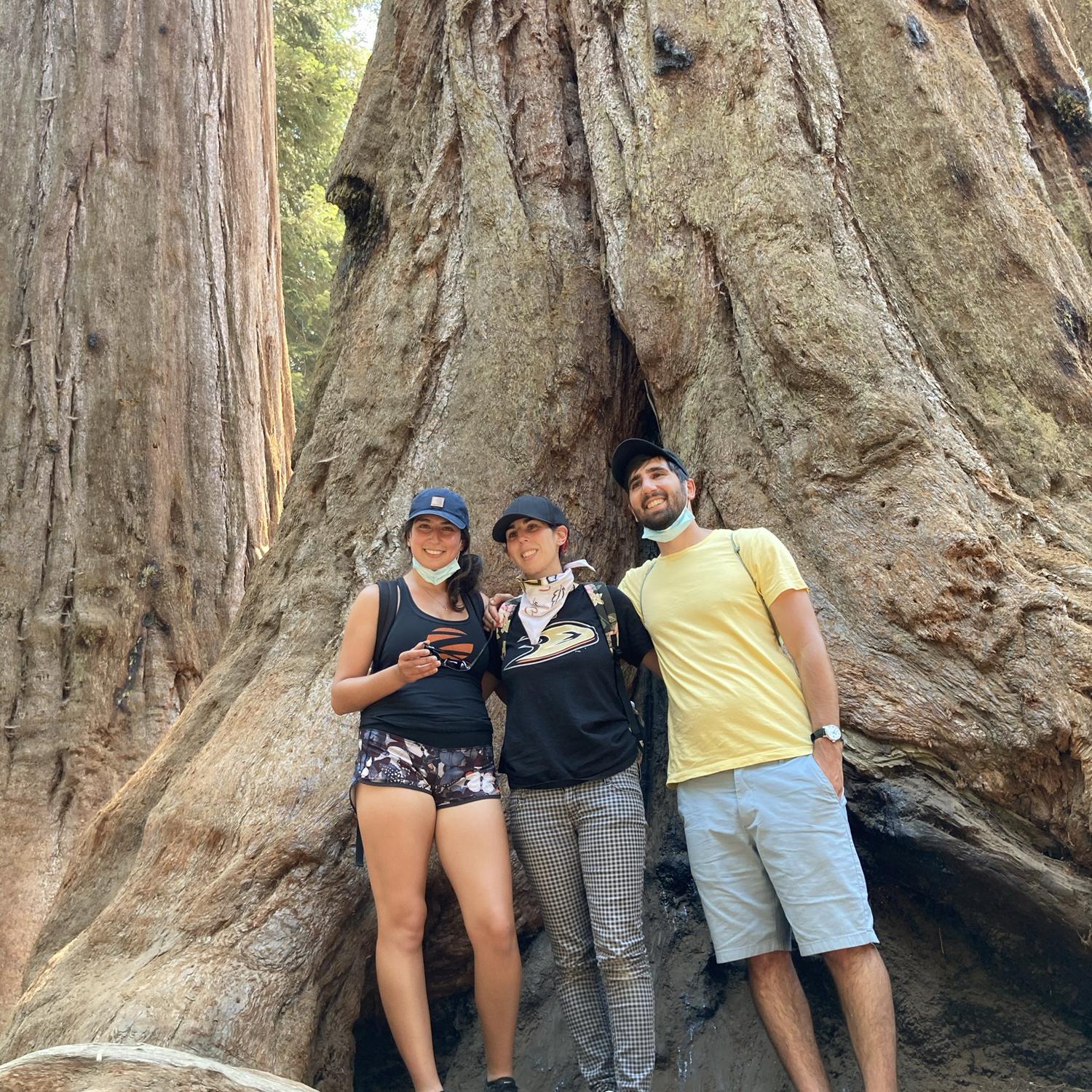 Eugene & his sisters, Josephine and Cheryl in Sequoia