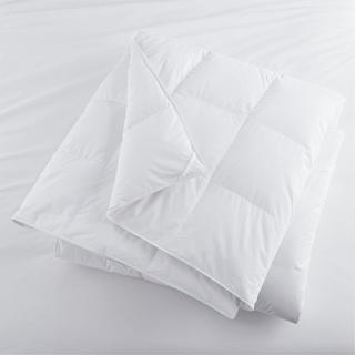 Classic Lightweight Down Duvet Insert