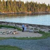 Deer Isle- Aragosta at Goose Cove
