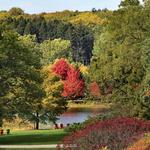 The Morton Arboretum