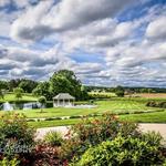 Check out Dennis Vineyards Winery