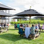 Johnson Estate Winery