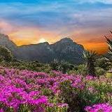 Kirstenbosch National Botanical Garden