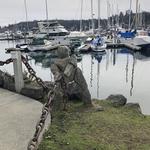 Bainbridge Island