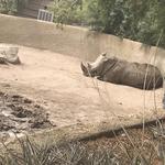 The Phoenix Zoo