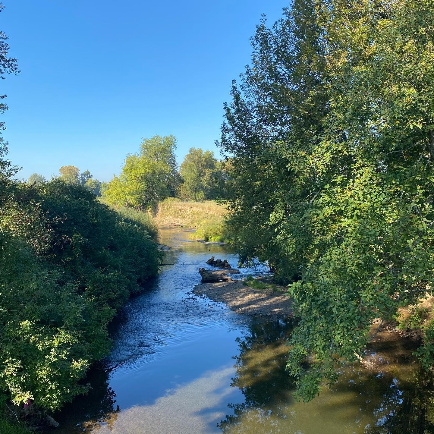 The Chehalis River