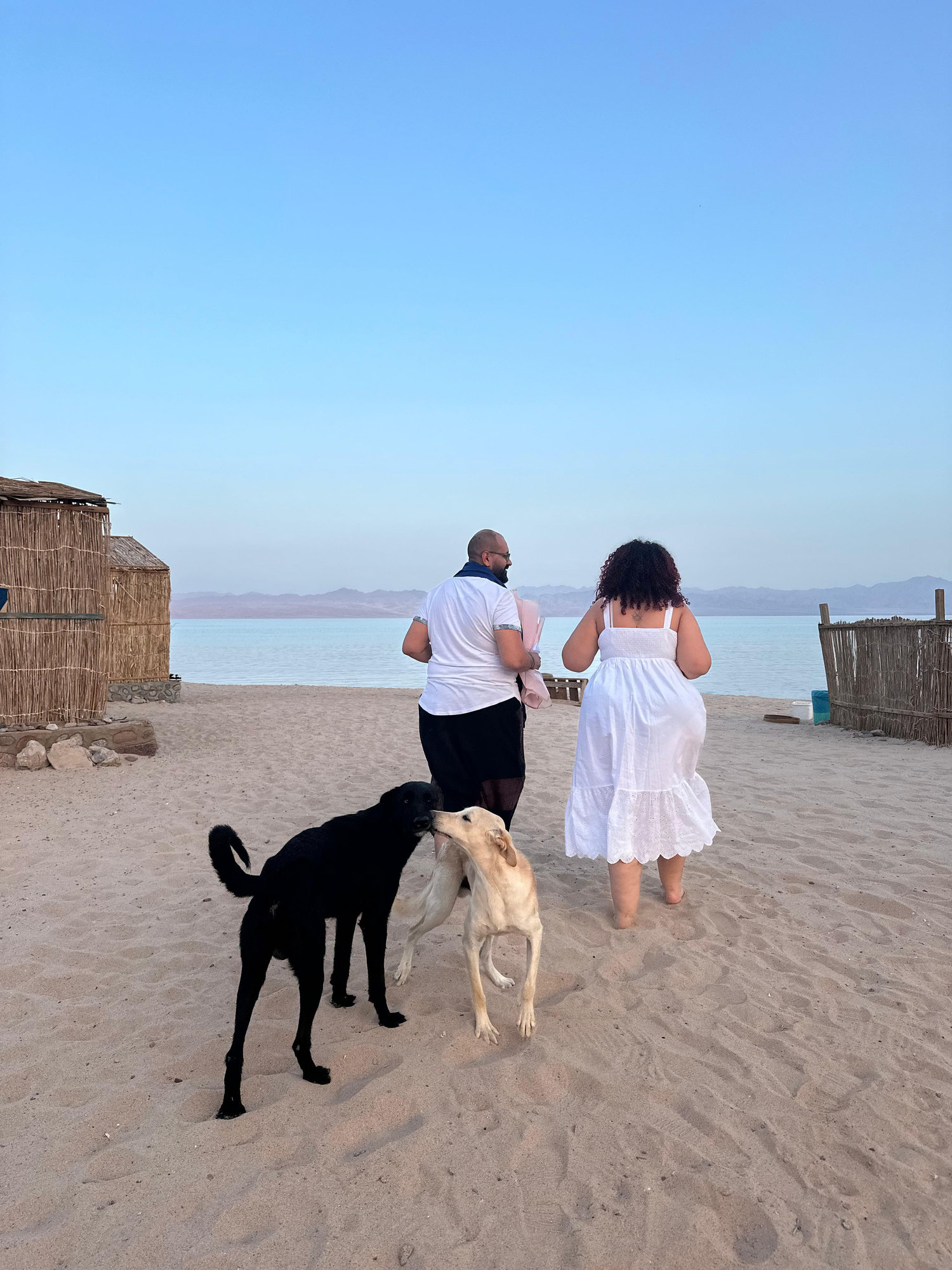 The Wedding Website of Mary Derhagopian and Andrew Zackaria
