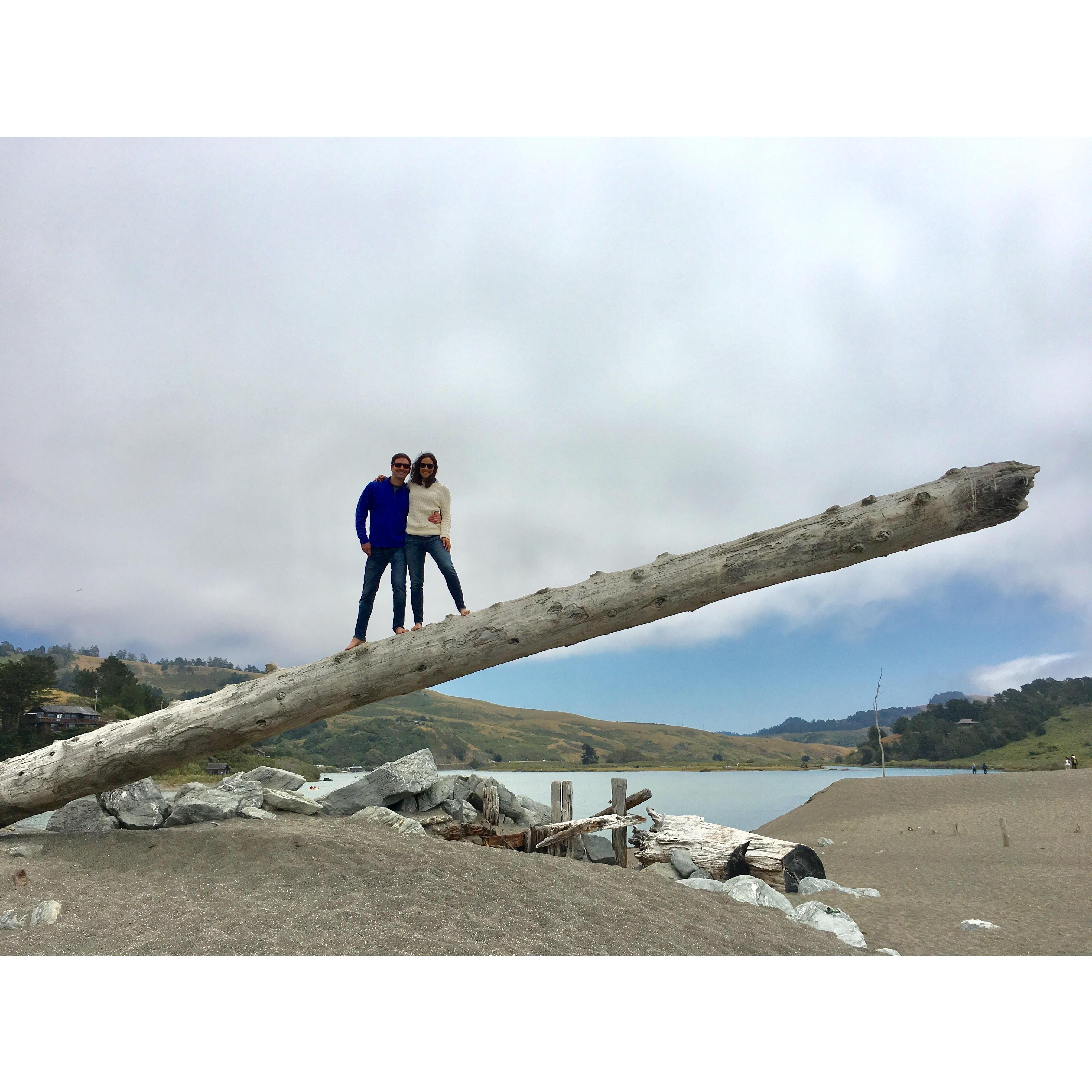 Jenner, CA