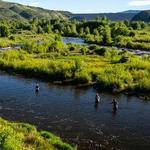 Fly Fishing Excursions