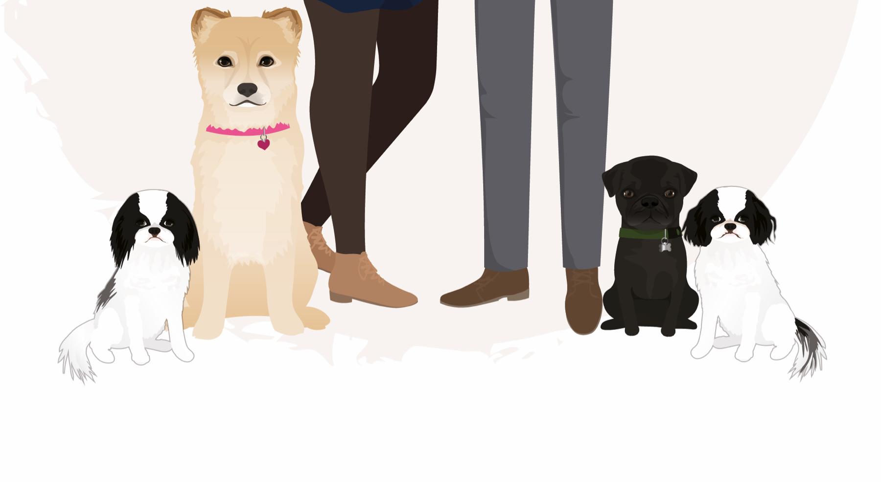 Footer image
