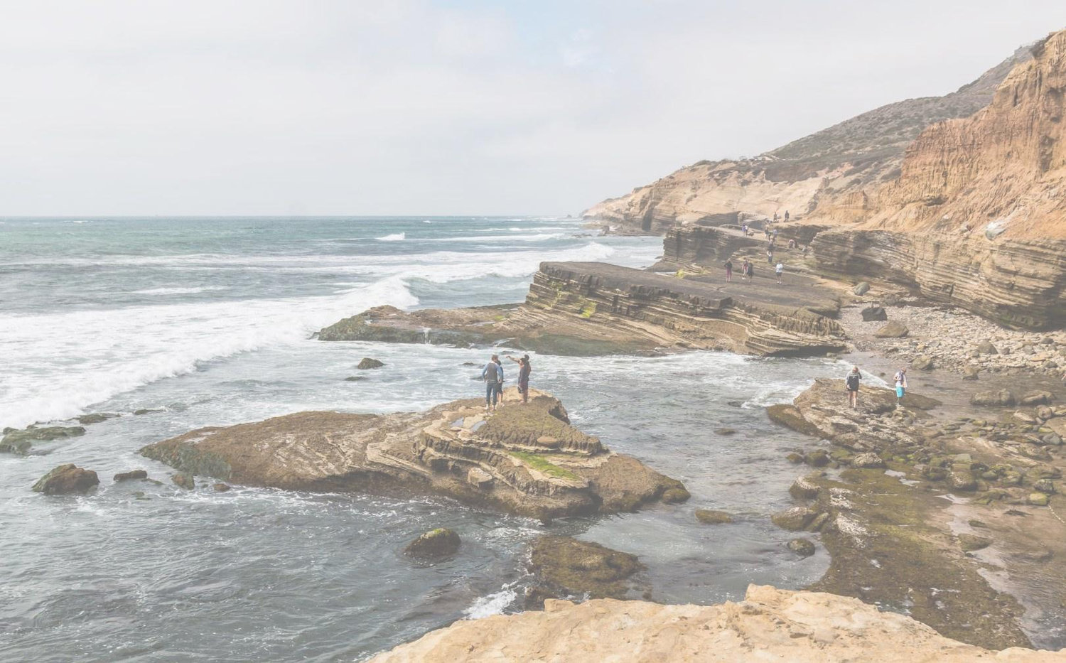 The Wedding Website of Emily Kane and Robert Grossman