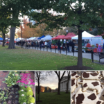 Saturday on the Square