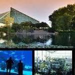 ABQ BioPark - Botanic Garden