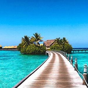Honeymoon Fund - Credit Card