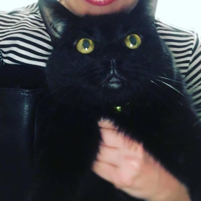 The day Jose met Luna, May 2017.