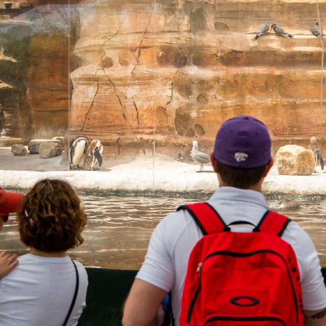 Sedgwick County Zoo Membership
