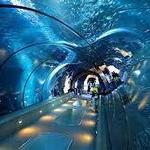 Newport Aquarium