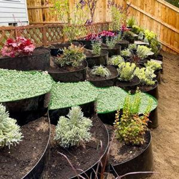 Backyard Fund (Contribute any amount)