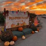 Gilcrease Orchard