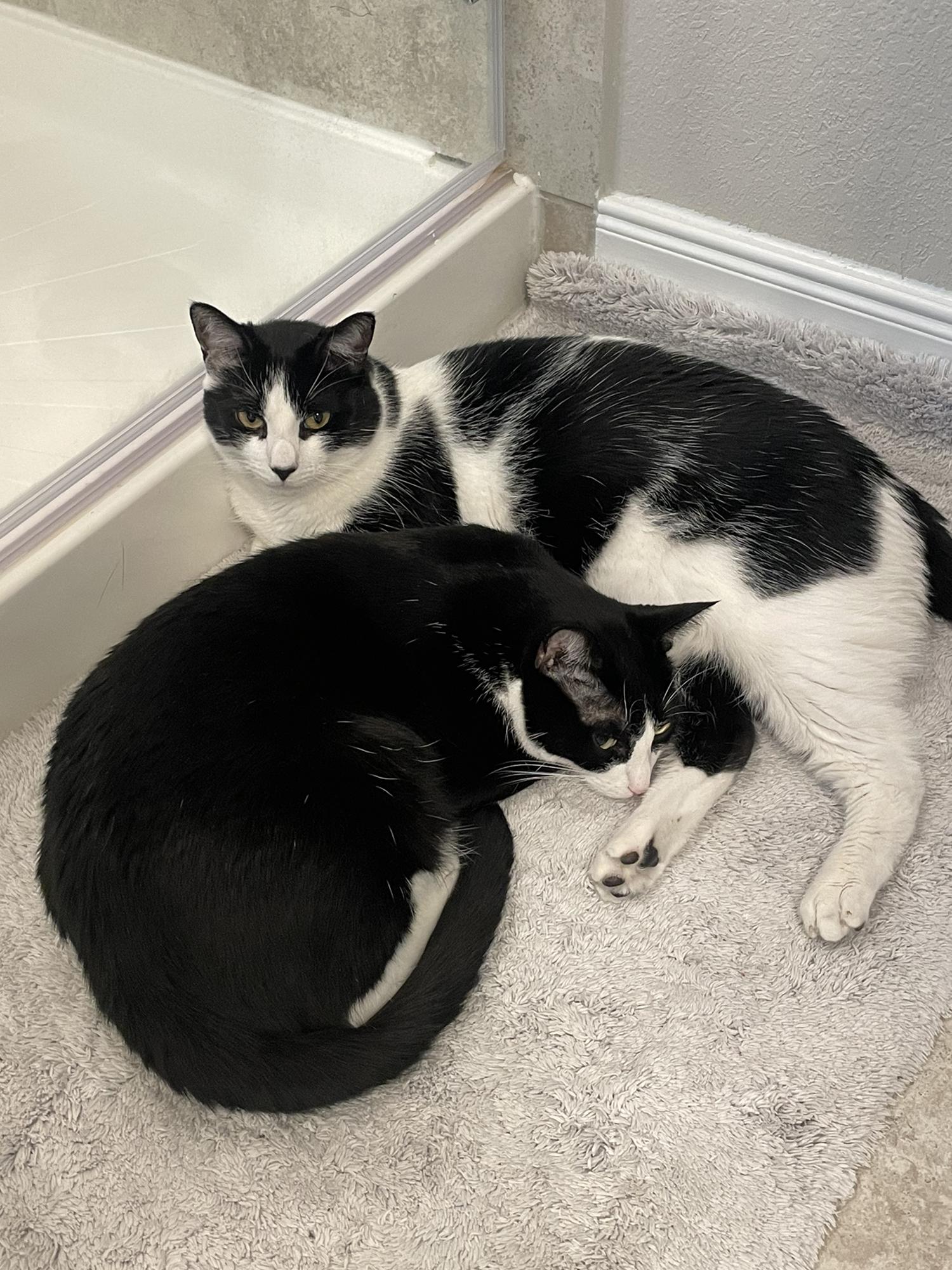 Jax & Tux