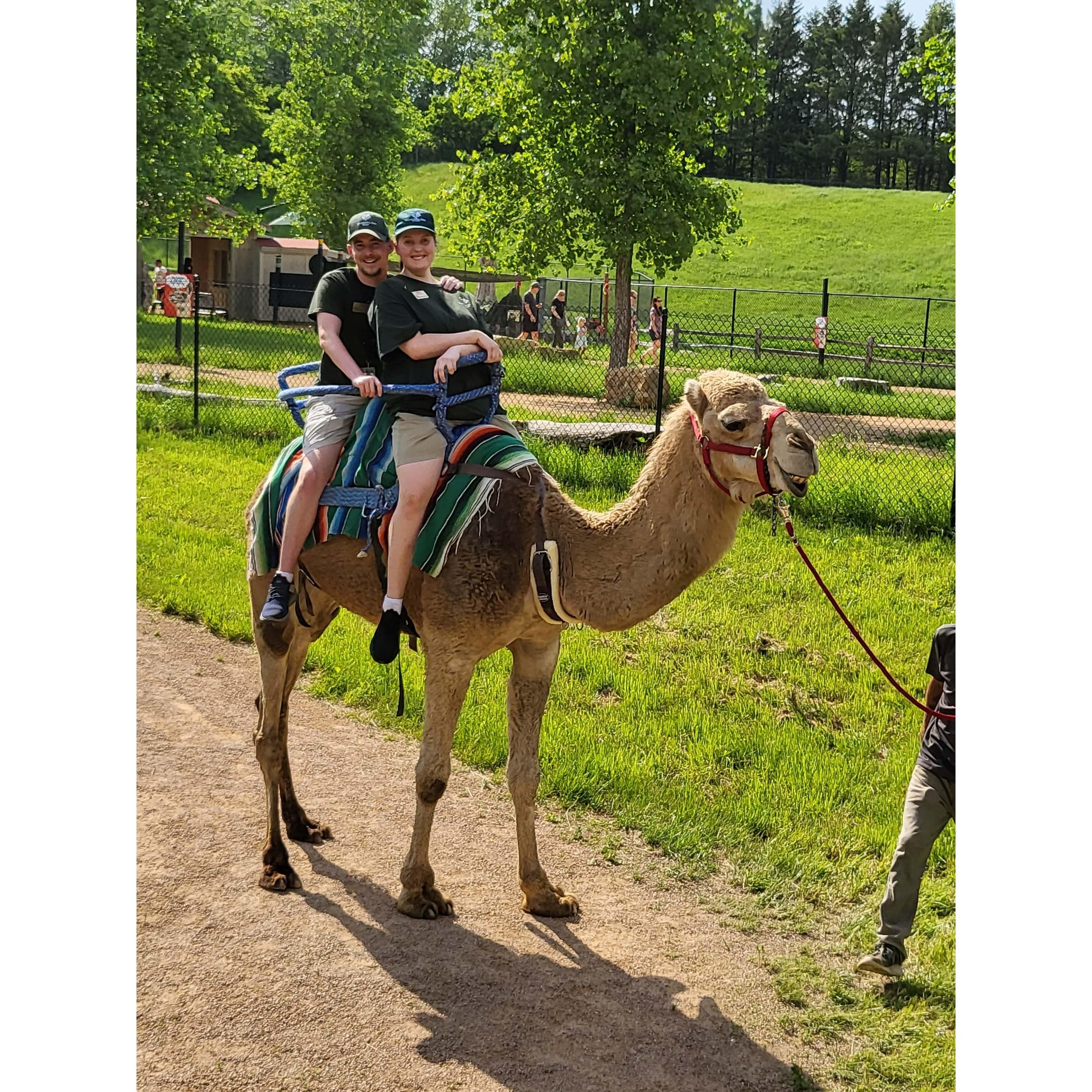 First time riding a camel together
