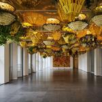 Museum Of Contemporary Art Chicago