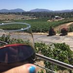 Callaway Vineyard & Winery