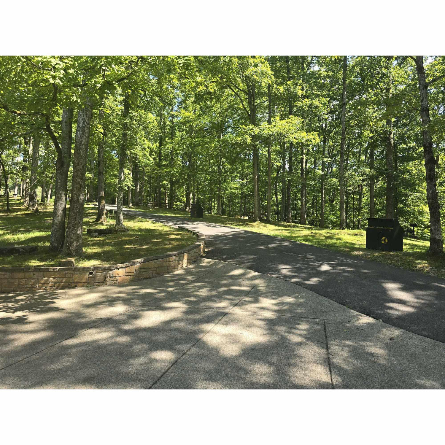 This is the sloped path we mentioned on the schedule page to get down to the Lake Acorn Pavilion.