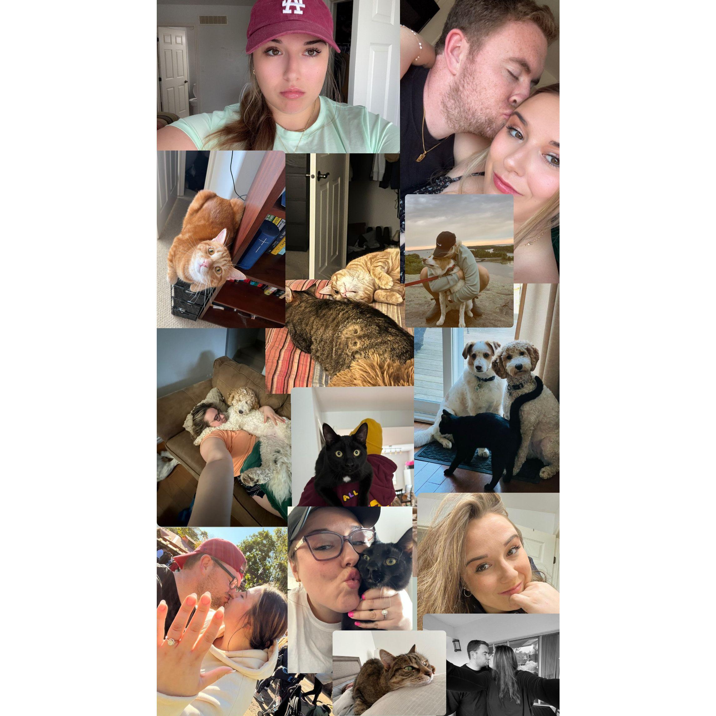 We got our own place and absolutely acquired a zoo. This is us and our children