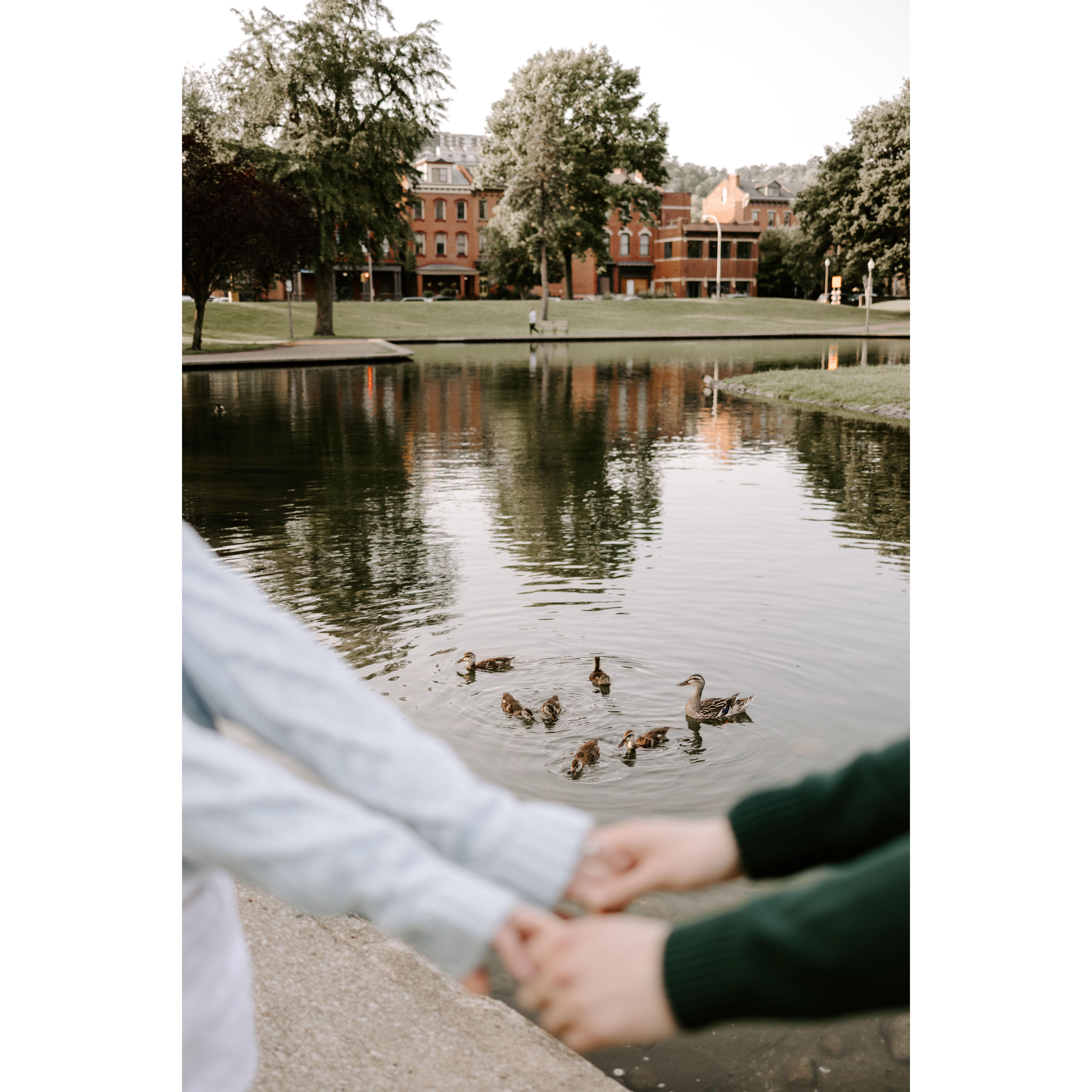 June 10th, 2025: Engagement Photos!